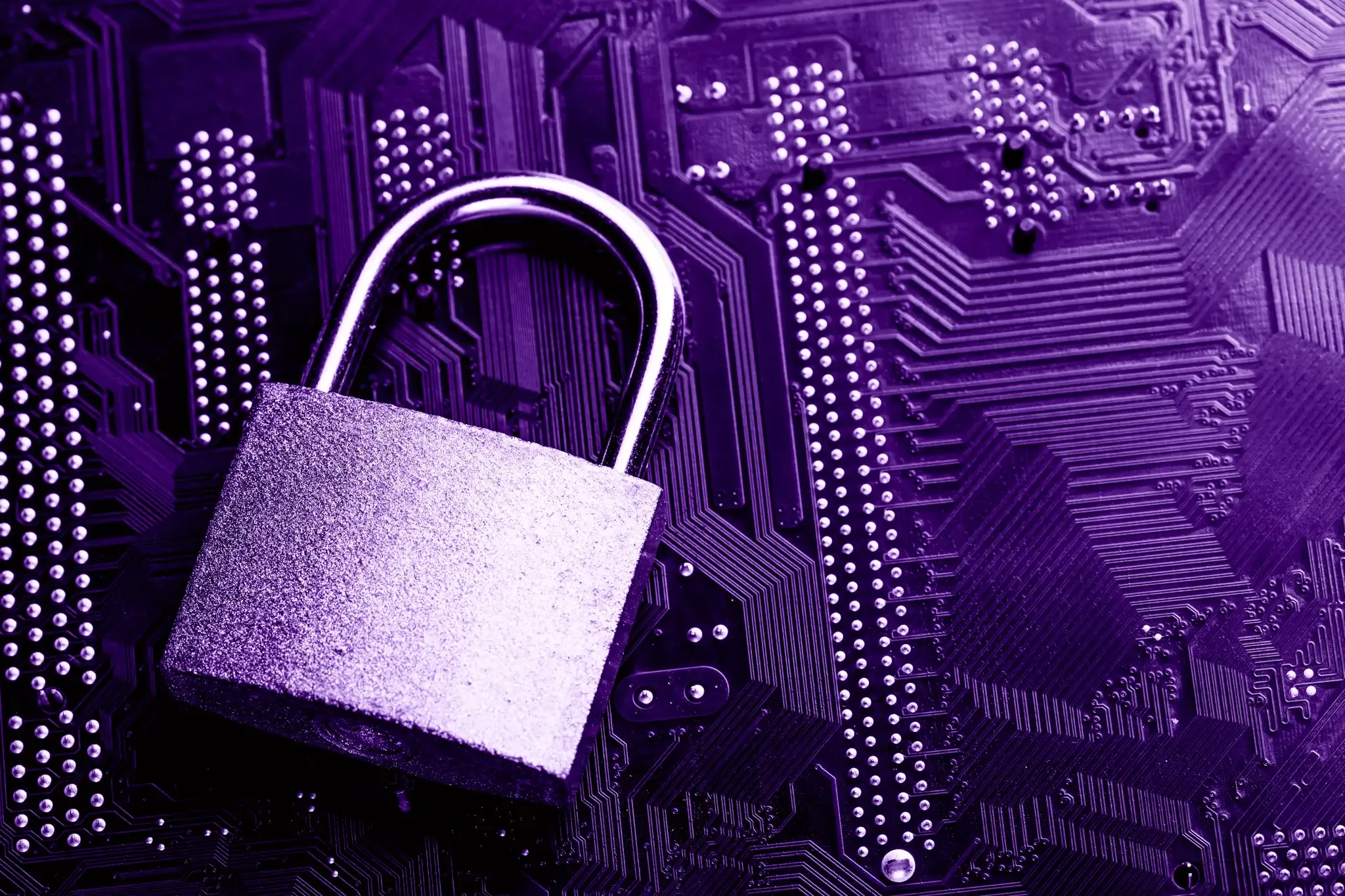 Website security strategies